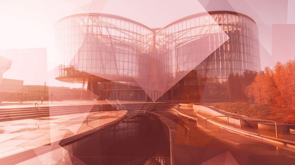 "Arnhem-Leeuwarden Court of Appeal ruling: Inspection request personal data Radar forum rejected"